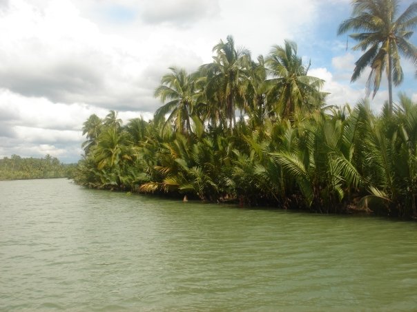 Bohol The Loboc River cruise