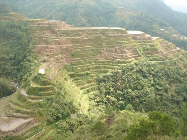 Rice Terraces Banaue Philippines
