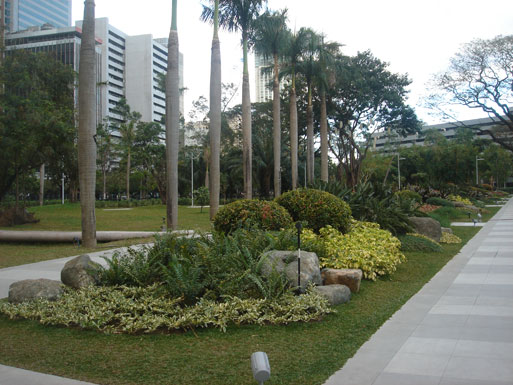 Ayala triangle gardens nice view Ayala triangle gardens nice view