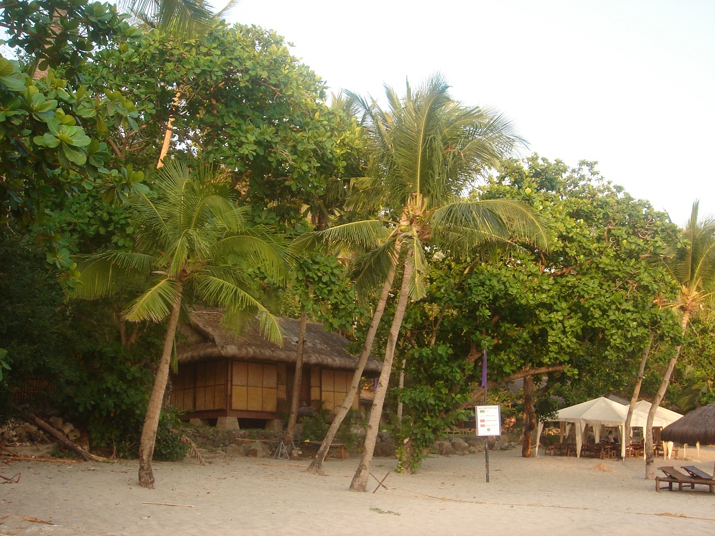 DSC06144