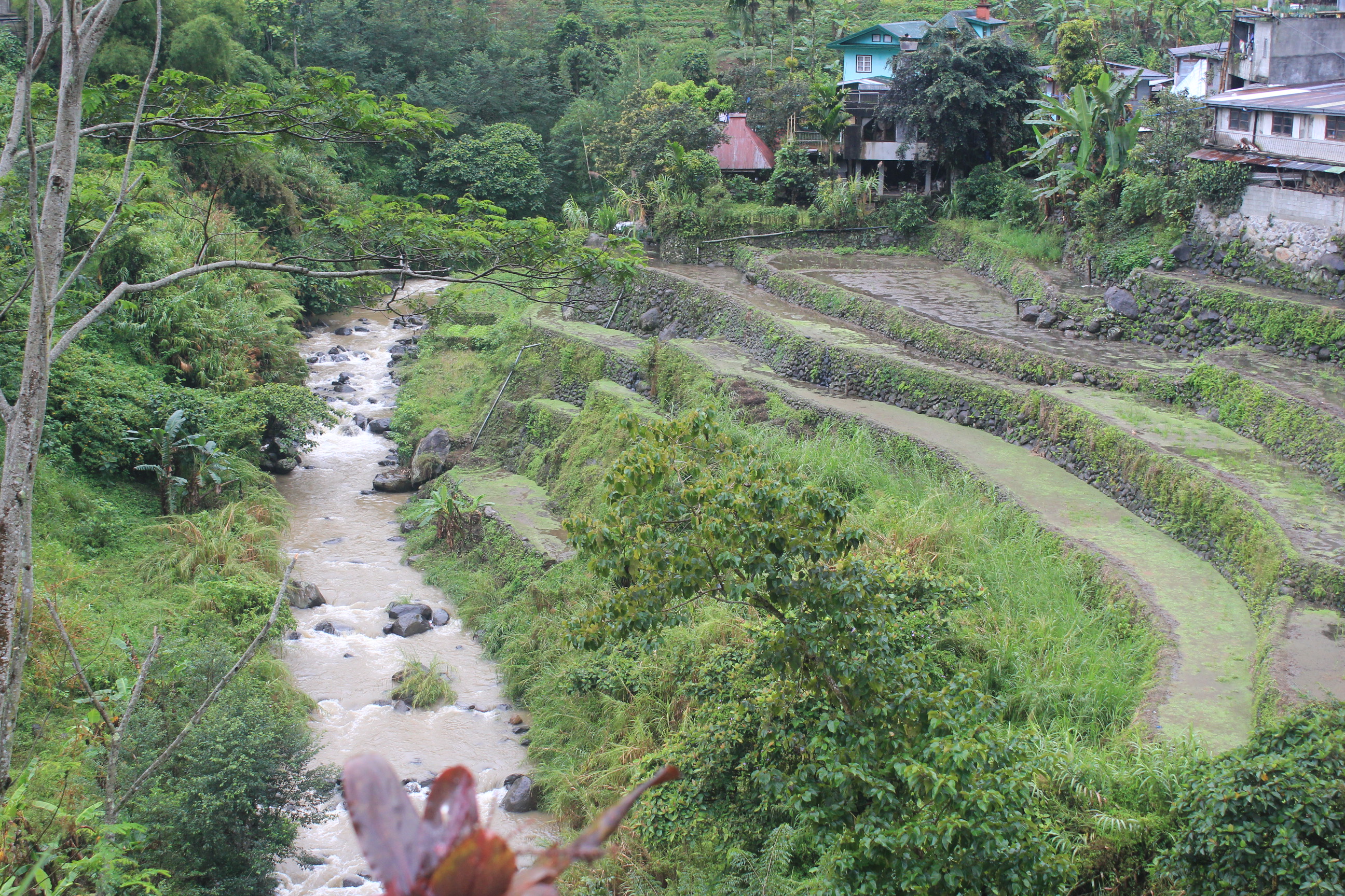 Rice Terraces Banaue Philippines
