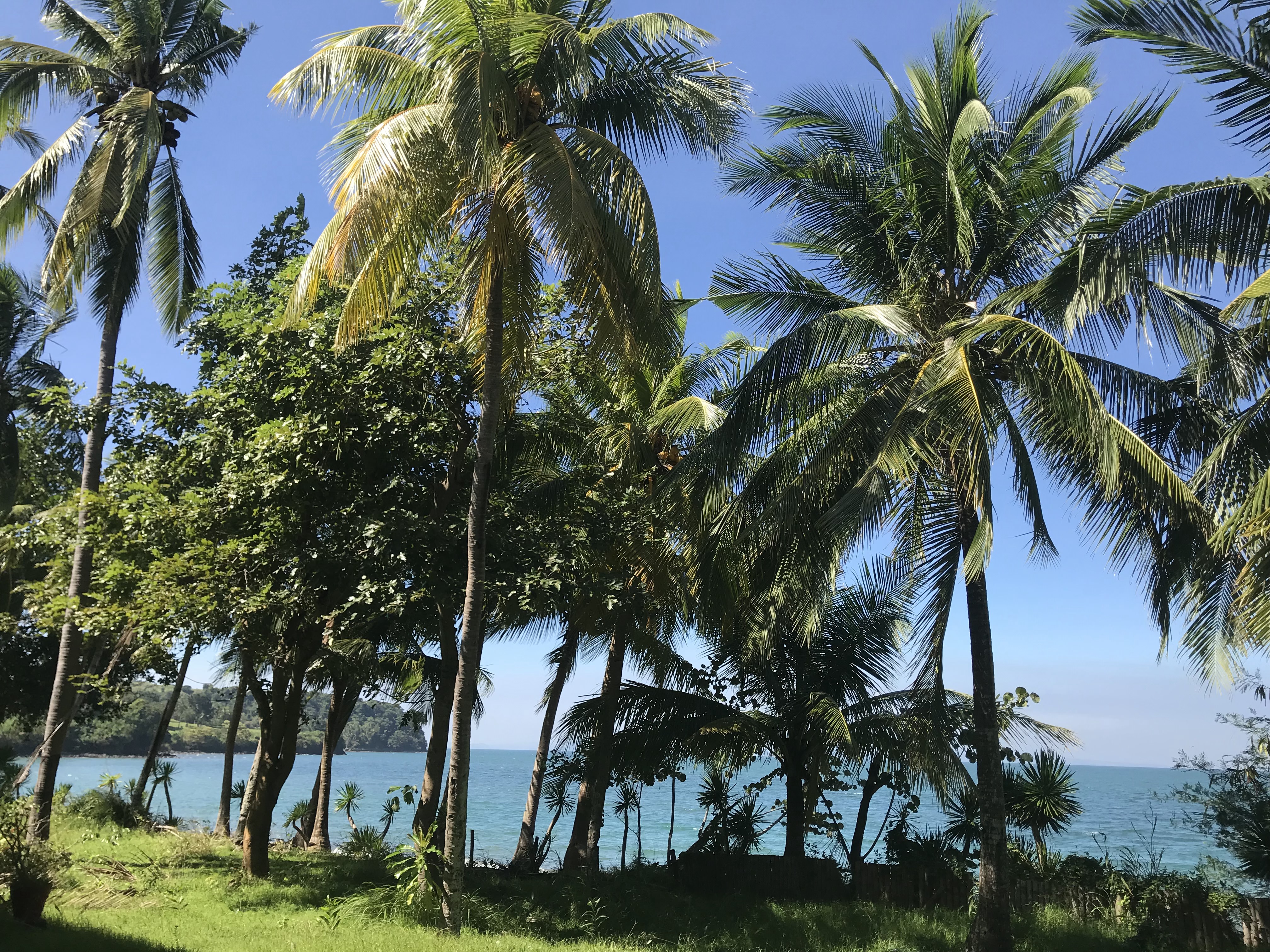 beast beaches in caramoan bicol and calayo batangas