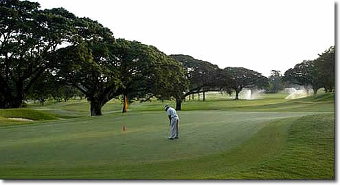 clark_mimosa_golf_green
