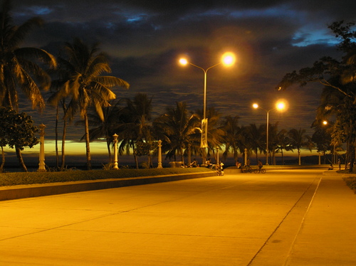 Bayawan multi way boulevard