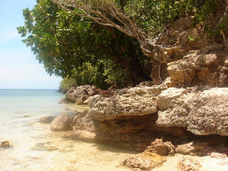 Punta Ballo, Negros Island