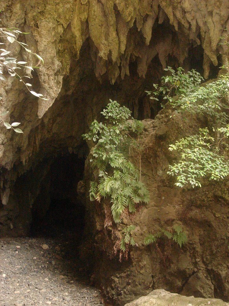 DSC06287