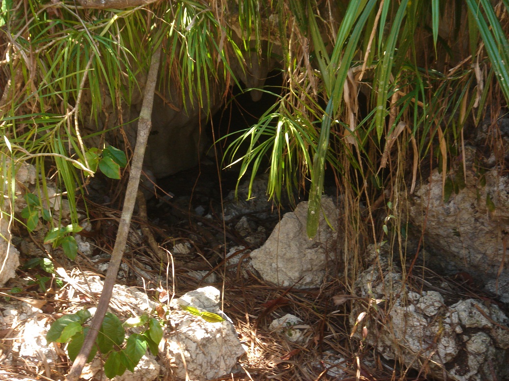 DSC06446