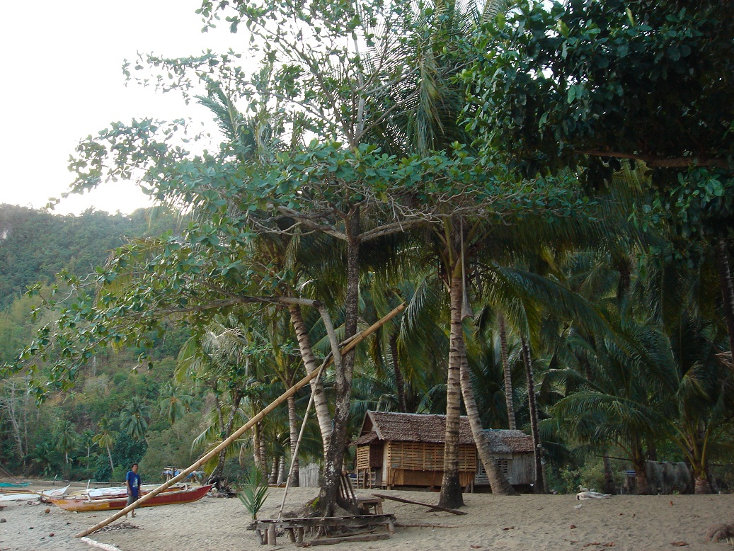 campomanes bay beach