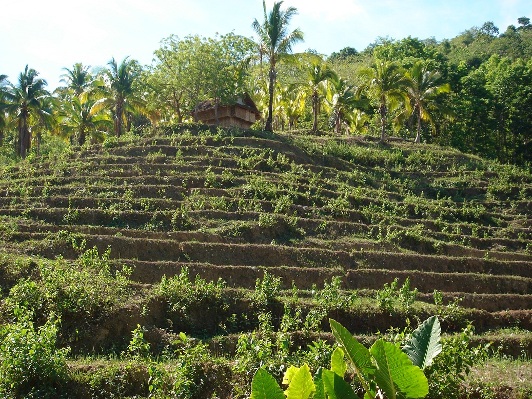 DSC06682