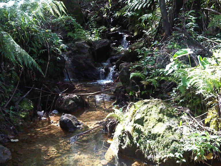 Hinoba-an, Negros Island