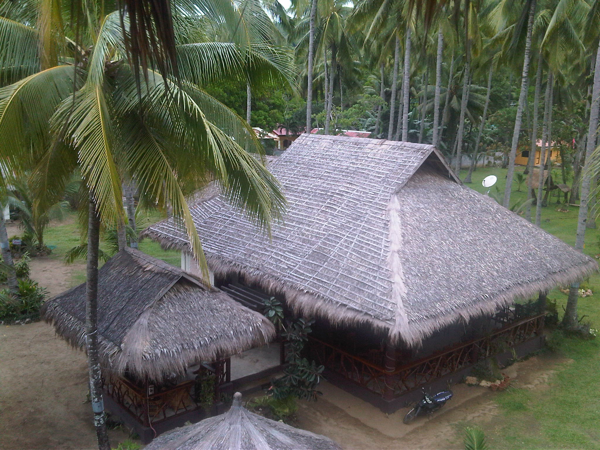 IMG00252