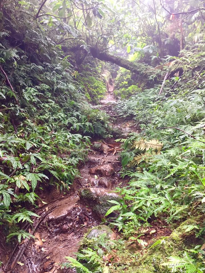 mt makiling hike adventure 