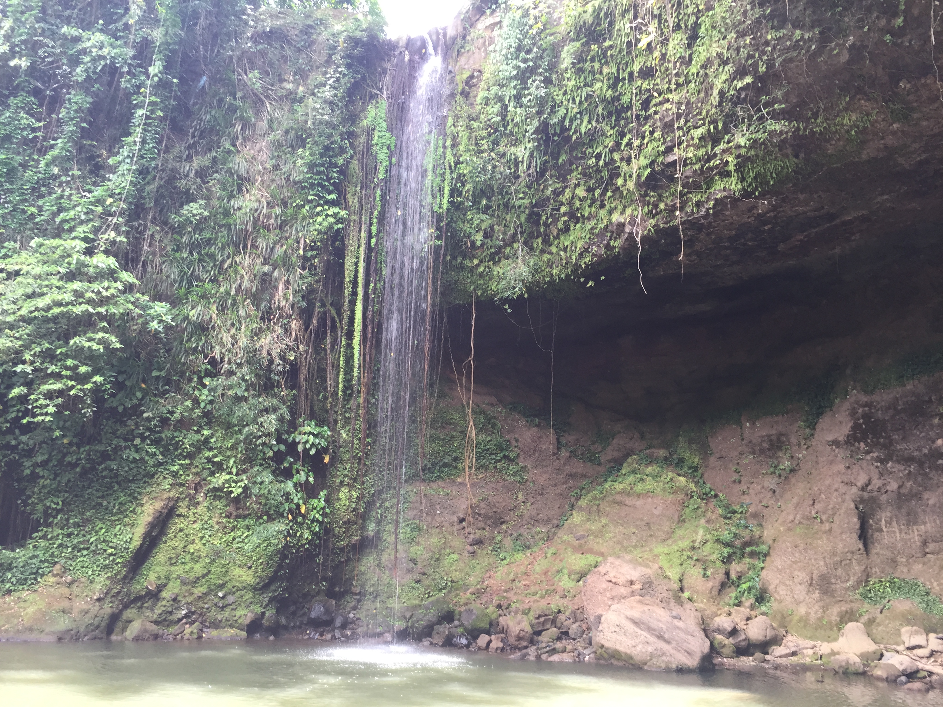 mt romelo buruwisan falls